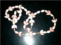 62a5bb27-Školjke iz Madrida...viva espana.JPG